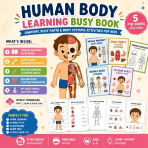 Human Body Learning Busy Book
