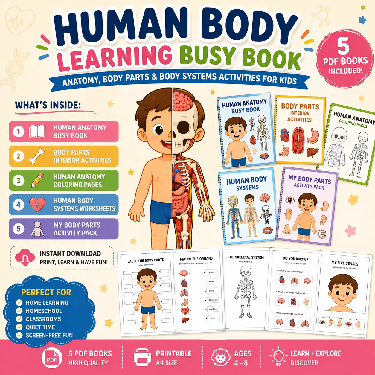 Human Body Learning Busy Book